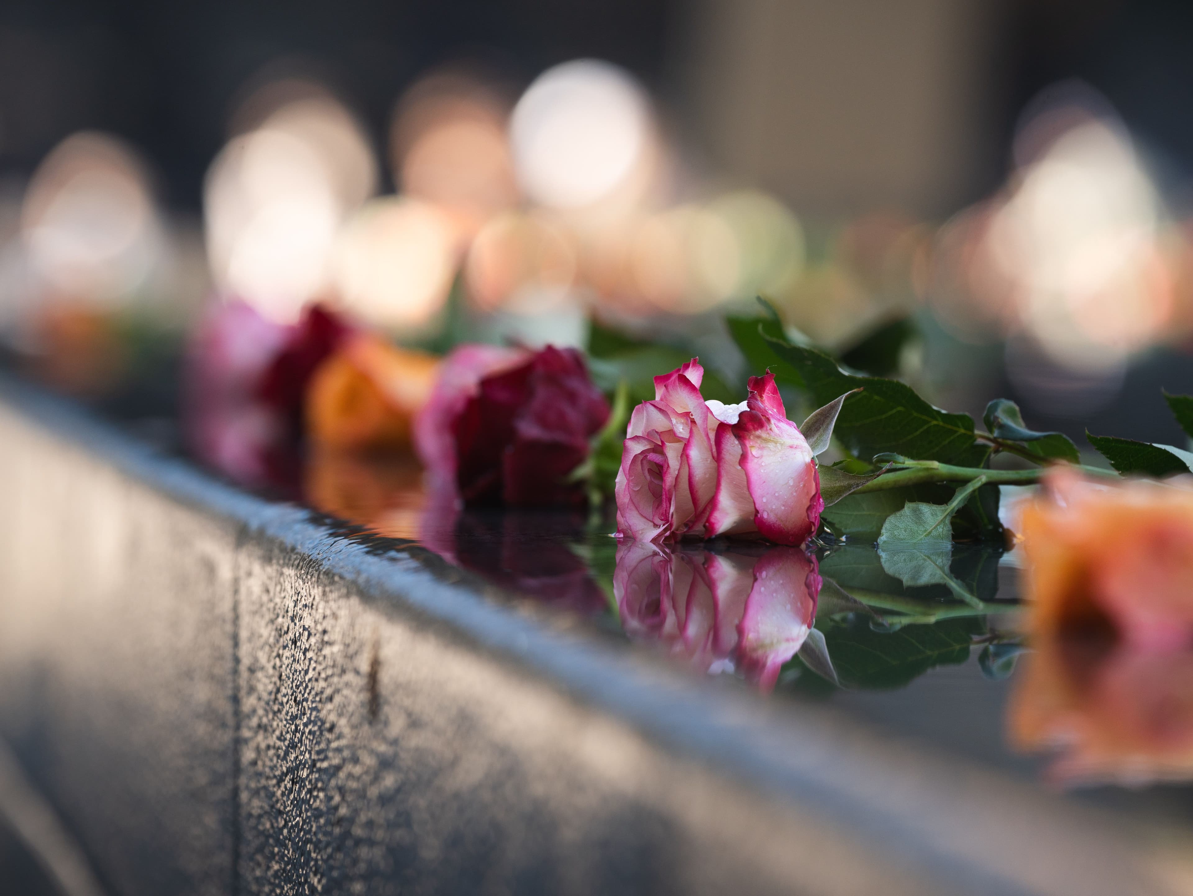 Memorial Digital: Como Manter Viva a Memória de Quem Você Ama